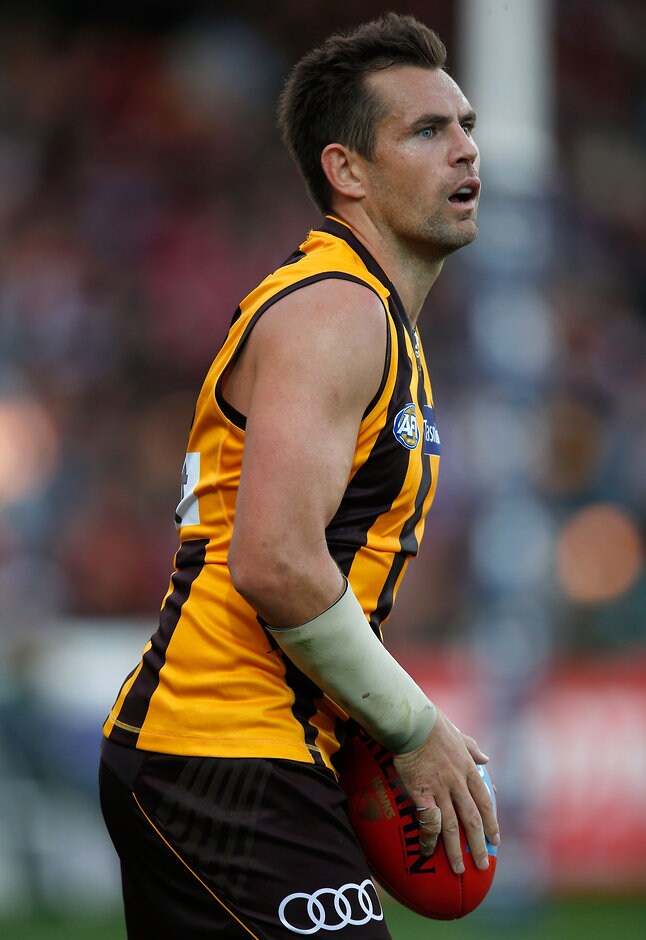 AFL 2016 Rd 04 - Hawthorn v St Kilda LAUNCESTON, AUSTRALIA - APRIL 16: Luke Hodge of the Hawks in action during the 2016 AFL Round 04 match between the Hawthorn Hawks and the St Kilda Saints at Aurora Stadium, Launceston on April 16, 2016. (Photo by Michael Willson/AFL Media)